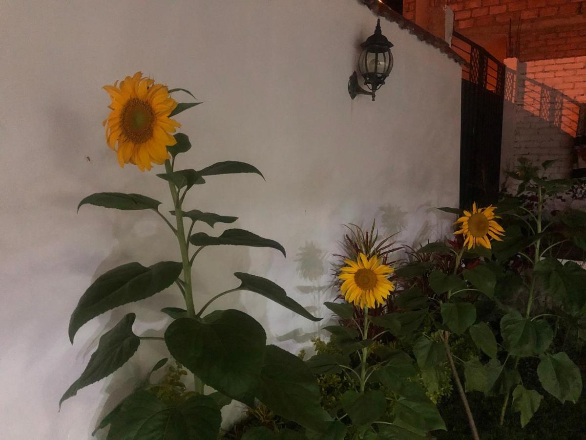 Hostel Las Palmas Vilcabamba Eksteriør billede