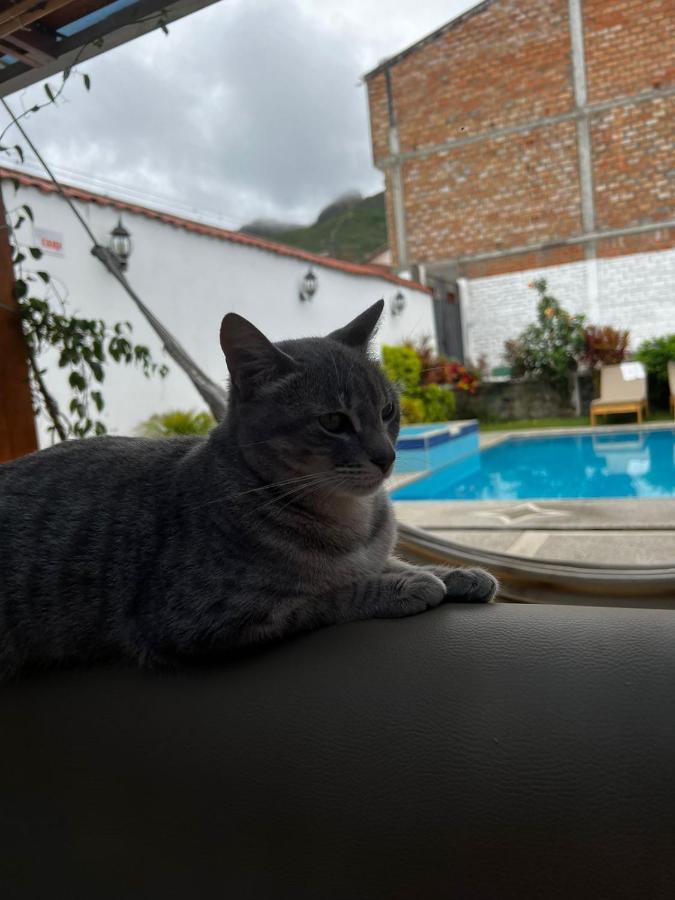 Hostel Las Palmas Vilcabamba Eksteriør billede