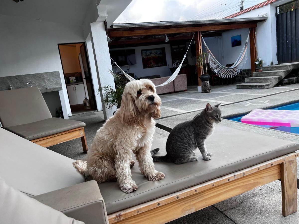Hostel Las Palmas Vilcabamba Eksteriør billede
