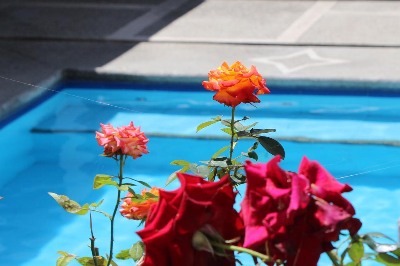 Hostel Las Palmas Vilcabamba Eksteriør billede