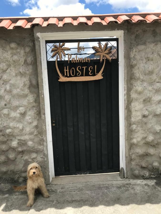 Hostel Las Palmas Vilcabamba Eksteriør billede